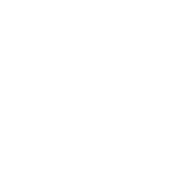 logo light